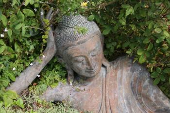 Yoga praktizieren heißt, seine eigene Natur zum Ausdruck zu bringen